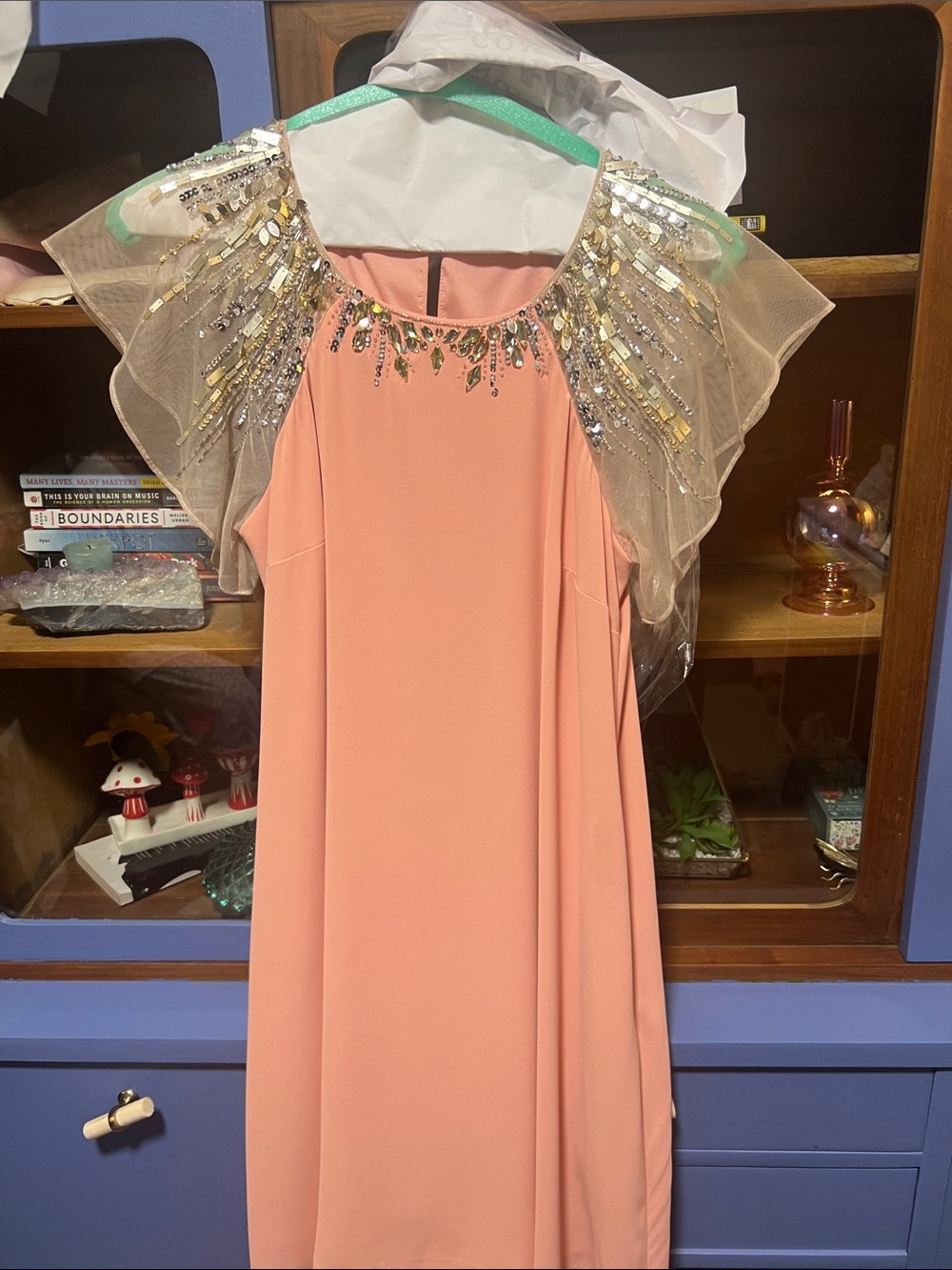 Aidan Mattox Peach Embellished Tulle-Sleeve Cocktail Dress